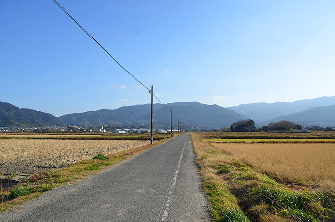 itosho-kochi_00.JPG