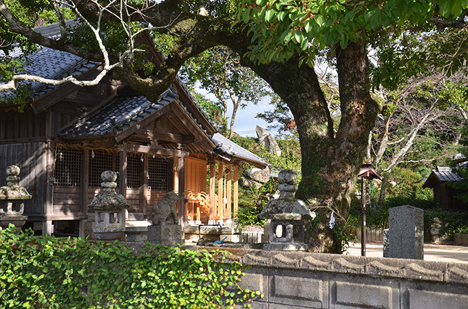 岐志の高峰大神と霊魂と語り合った神官の記録 Part.3 ー武士霊の遷座と