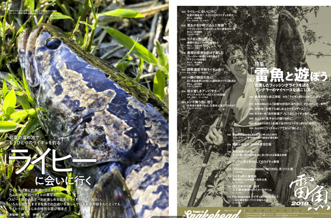 Power of Snakehead 201803.jpg