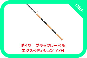 ダイワ・ブラックレーベル77Hで近距離戦を制す ブラックレーベル