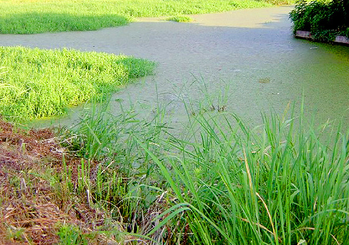 hishinoharucreek.jpg